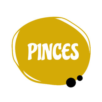 Pinces