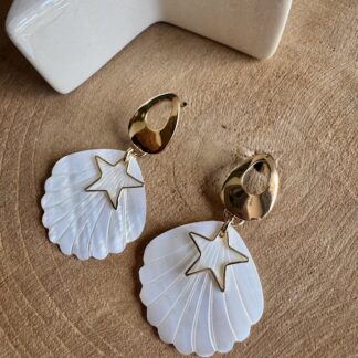 Coquillage 2